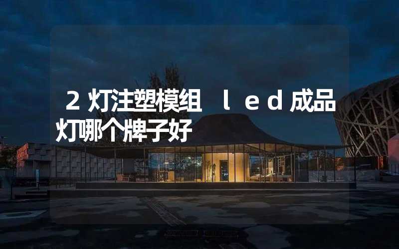 2灯注塑模组 led成品灯哪个牌子好